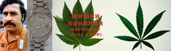 сатива Абдулино