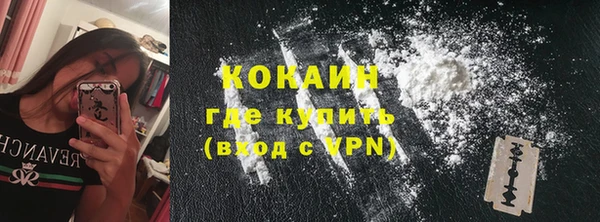 крисы Майский