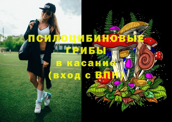 сатива Абдулино